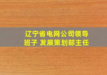 辽宁省电网公司领导班子 发展策划部主任